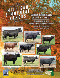rcs_michigansimmentalsale_flyer_2016_10_05.indd