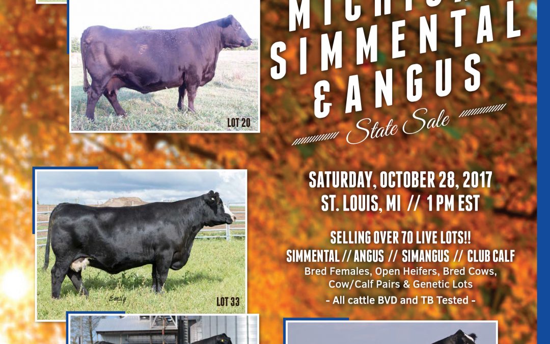 2017 Michigan State Sale